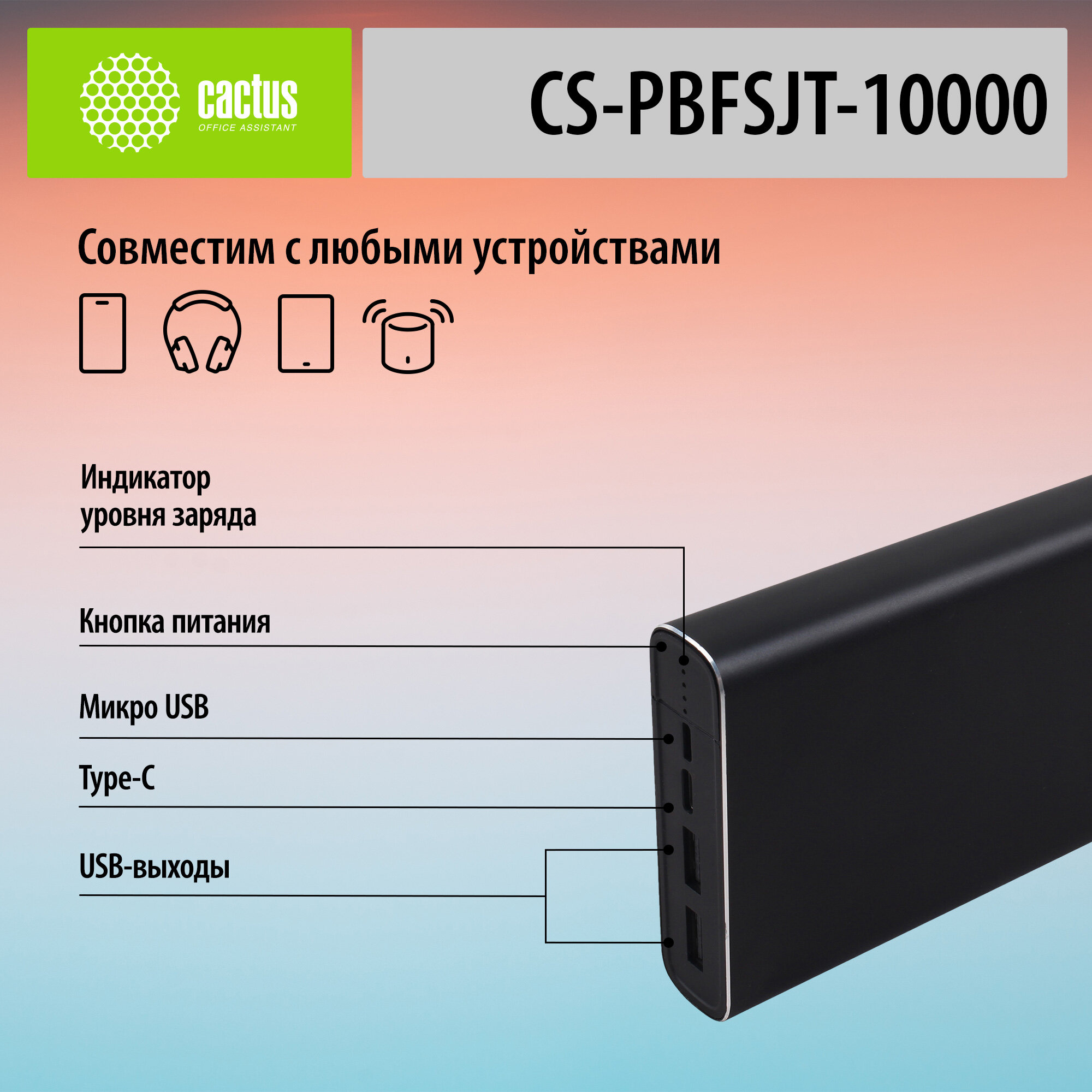 Мобильный аккумулятор Cactus CS-PBFSJT-10000 10000mAh 2.1A 2xUSB черный