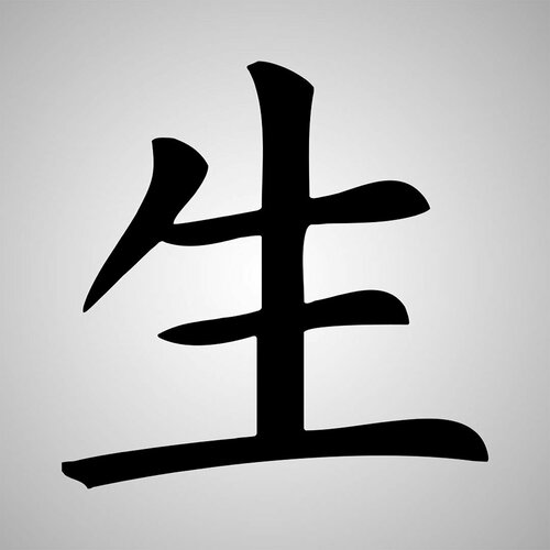 Наклейка Иероглиф Мастер черная 400₽