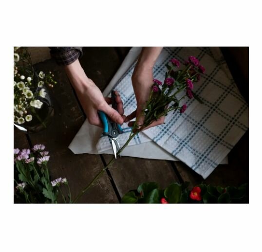 Ножницы для растений Plantic Light L62 — фото 1