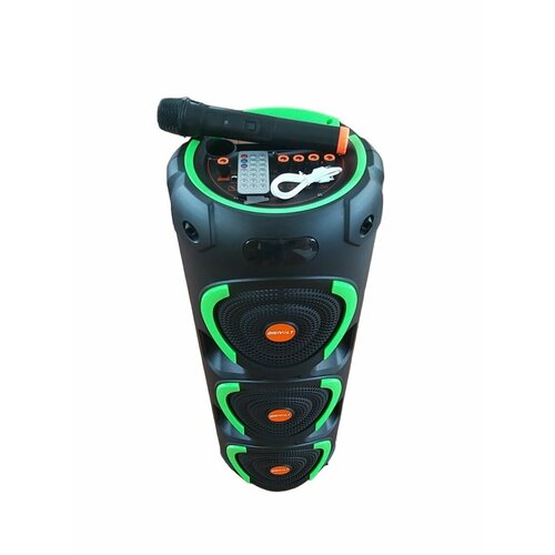 Колонка акустическая портативная Караоке TWS 1208 P M P O 1000W Микрофон Пульт Bluetooth USB TF AUX FM Led подсветка 1057000₽