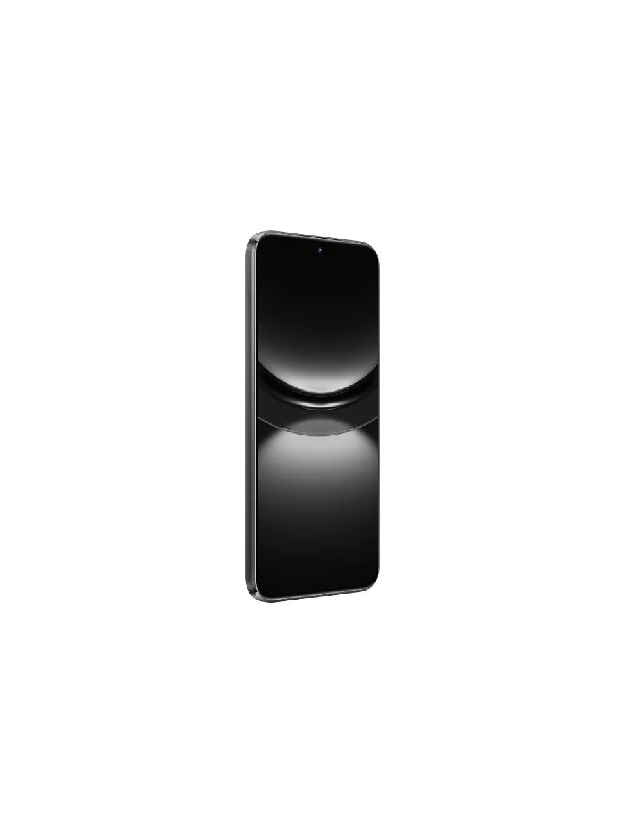 Смартфон HUAWEI nova 12s 8 ГБ + 256 ГБ, Черный — фото 1