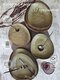 matt brown 982/solid