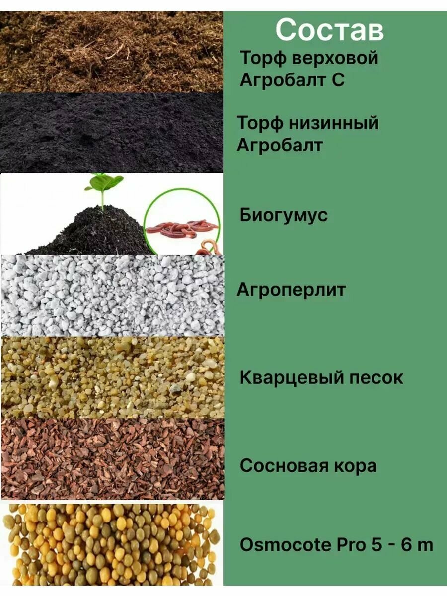 Грунт для Декабриста, Шлюмбергера, Рипсалидопсиса 5л готовый — фото 1