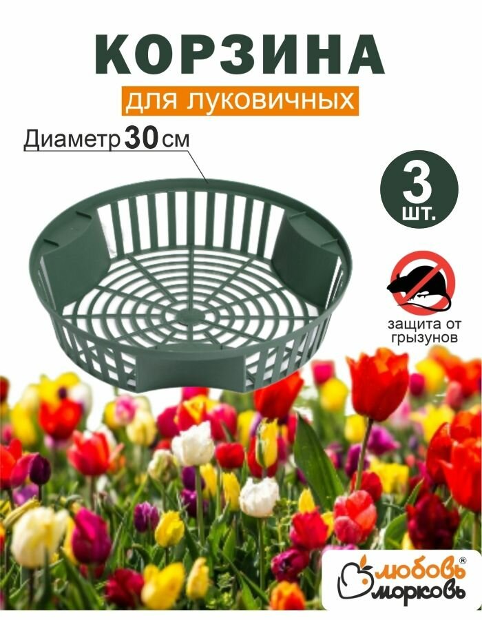 Корзина для луковичных растений 3шт (диаметр 30)