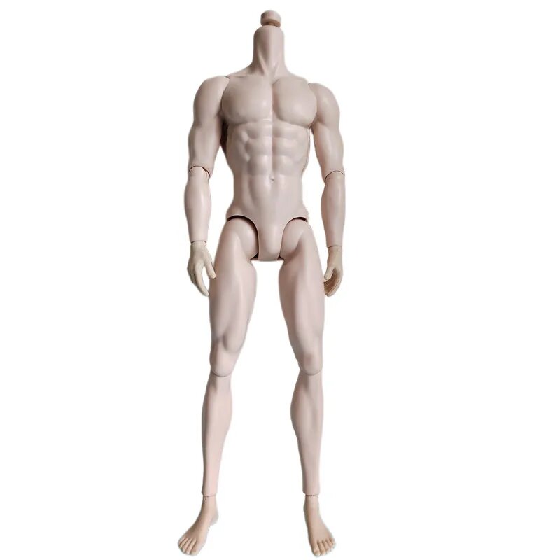 МENGF Тело Adonis для куклы 1/6, Adonis super white, Один размер, Женский