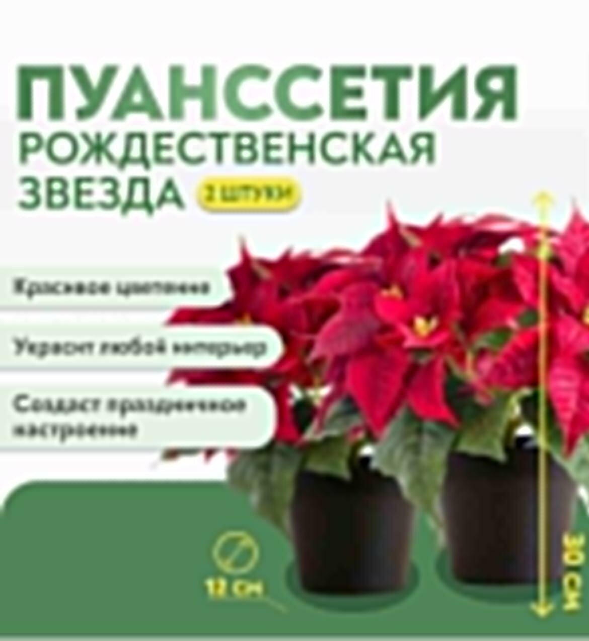 Рождественская Звезда( Пуансеттия) Набор 2шт