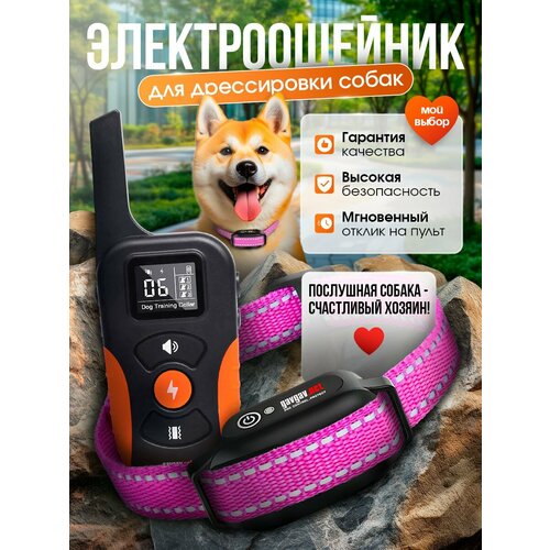 Электронный ошейник для дрессировки собак PD-519-PRO