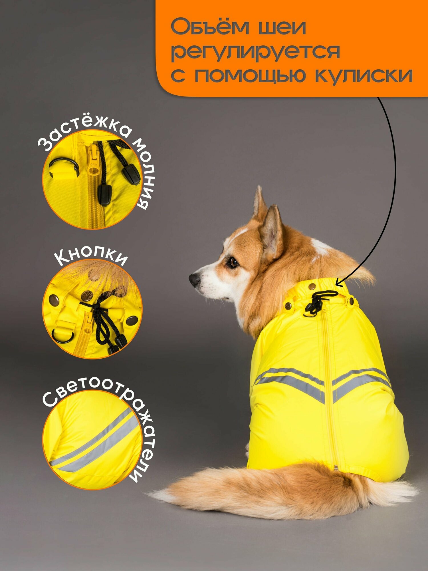 Грязезащитный комбинезон DiploDog для Корги (девочка), Одежда для Корги (девочка) — фото 1