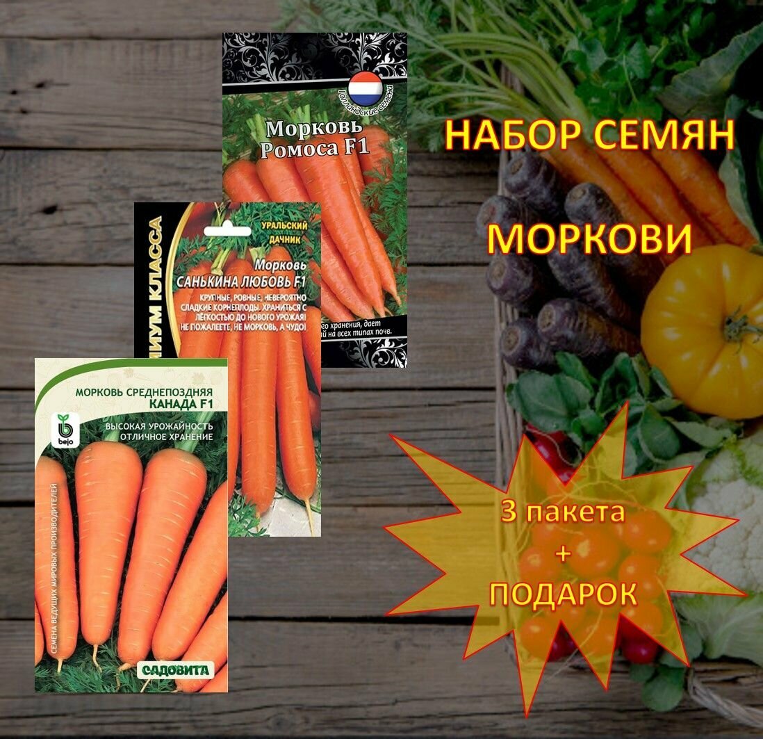 Семена моркови Санькина любовь Канада Ромоса