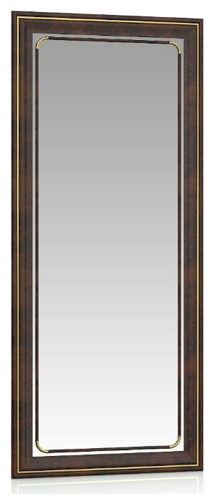 Зеркало 118У корень, ШхВ 39х90 см, зеркала для офиса, прихожих и ванных комнат, горизонтальное или вертикальное крепление