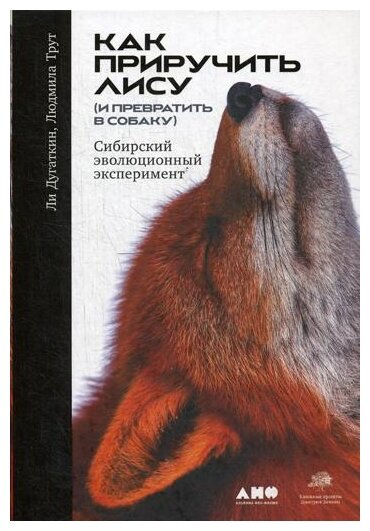 Как приручить лису (и превратить в собаку): Сибирский эволюционный эксперимент - фото №1