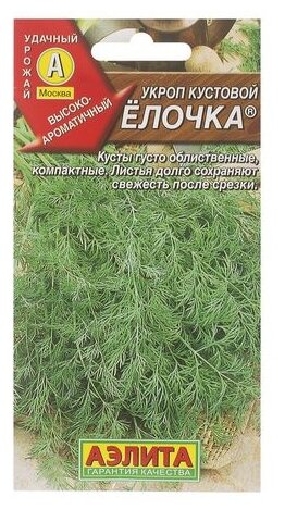 Семена Укроп кустовой «Ёлочка» 3 г спайка 10 пачек