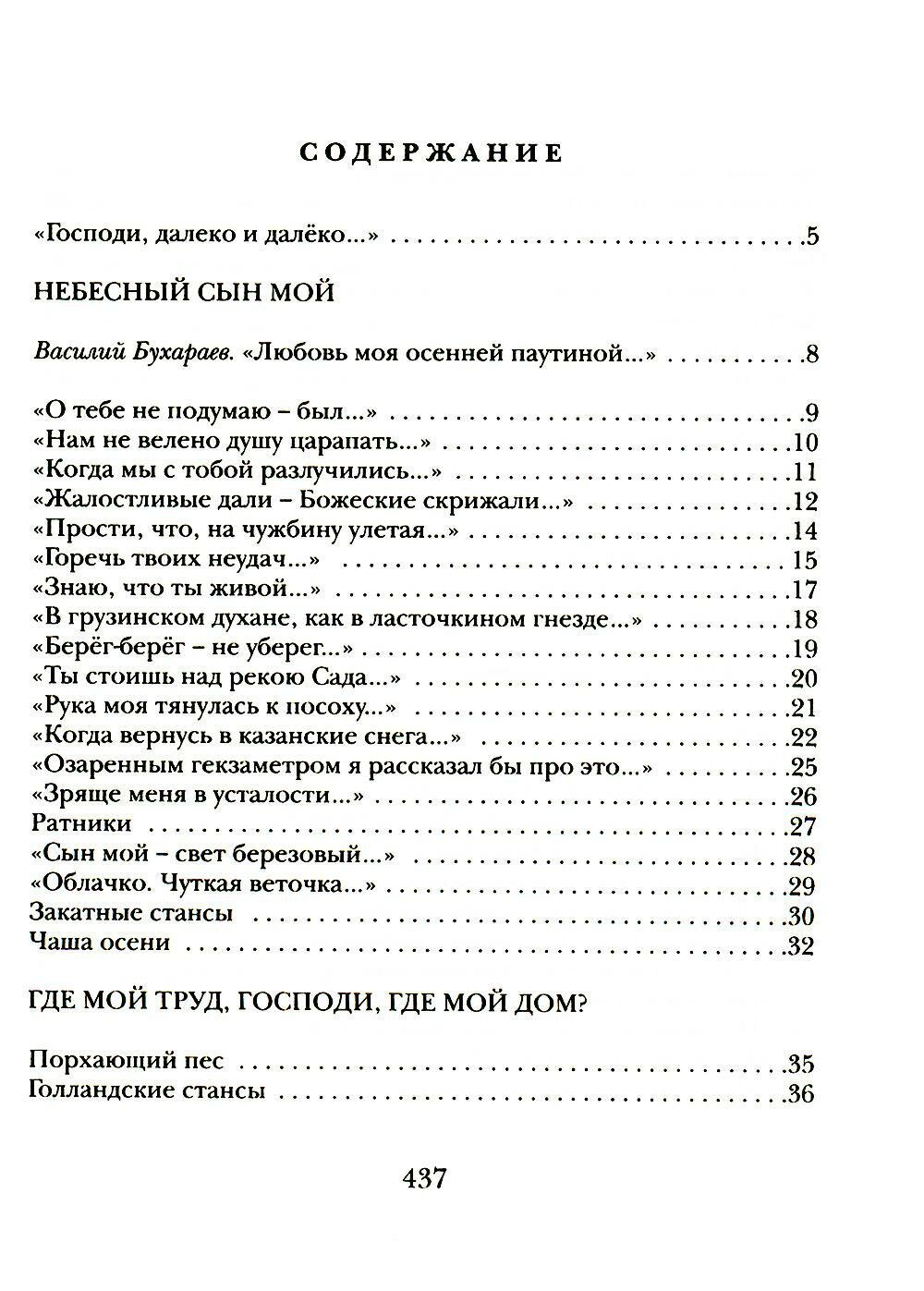 Отпусти мою душу на волю (Бухараев Равиль Раисович) - фото №5