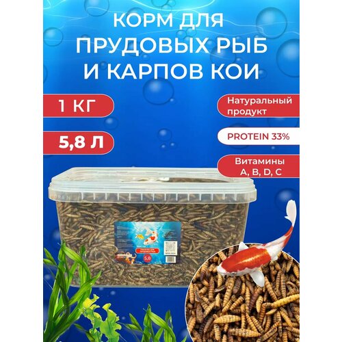 Черная львинка Корм для рыб прудовых и карпов кои 5.8л