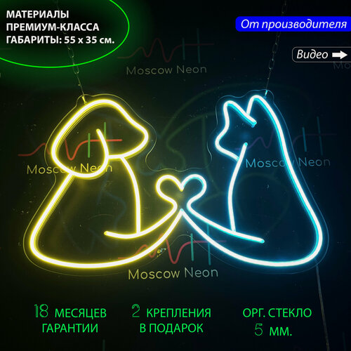 Изображение товара Неоновый светильник, неоновая светодиодная вывеска на стену, неоновая лампа «Кот и собака» для зоомагазина, 55x35 см