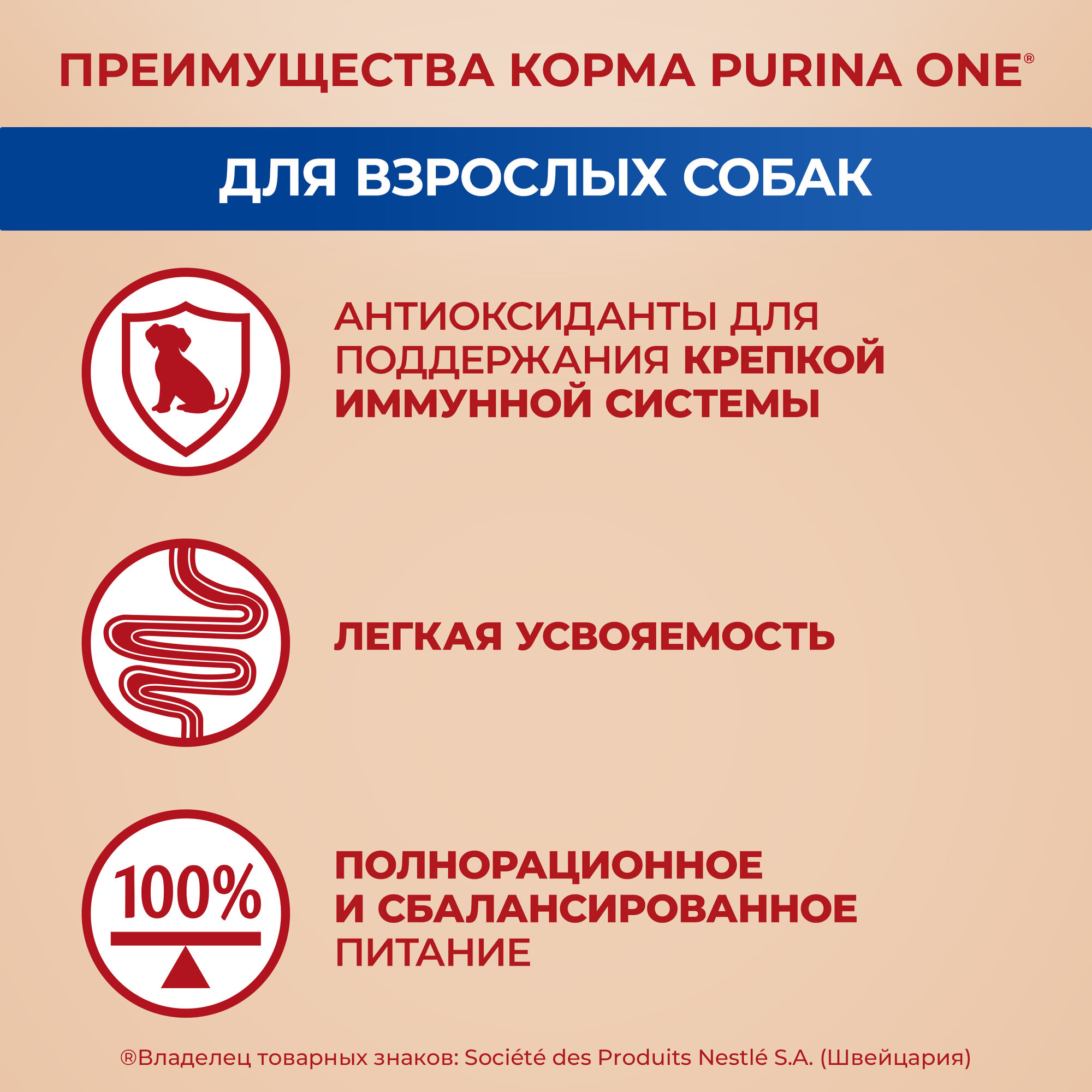 Purina ONE Мини 85 г пауч влажный корм для активных собак с говядиной картофелем и горохом х26 штук — фото 1