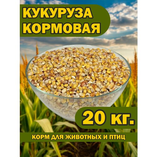 Кукуруза кормовая 20 кг. для животных и птиц