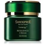Shangpree S-energy Resilience Cream Активный крем для лица против морщин - изображение
