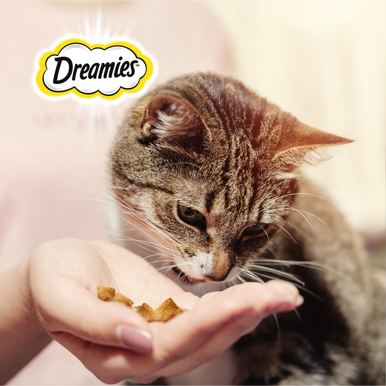 Лакомство для кошек Dreamies подушечки с говядиной, 10 пачек по 30 г - фотография № 8