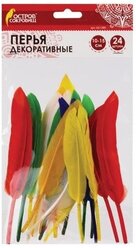 Перья декоративные прямые, 10-15 см (набор 24 шт) 6 цветов, яркие, ассорти