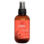 Dott.Solari Защитное масло для волос с экстрактом коралла и маслом льна Olea - изображение