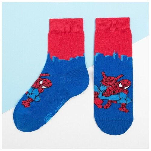 фото Носки kaftan, синий, красный