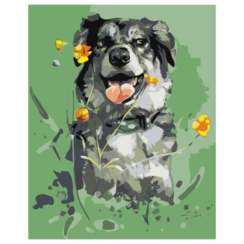 Собака на лугу Раскраска картина по номерам на холсте мини раскраска на лугу