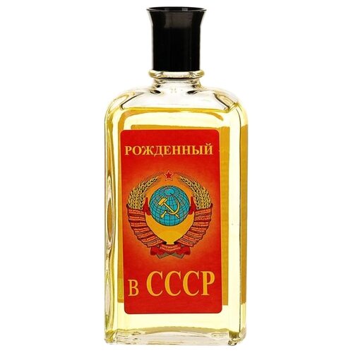 PontiParfum одеколон Рожденный в СССР, 85 мл, 196 г