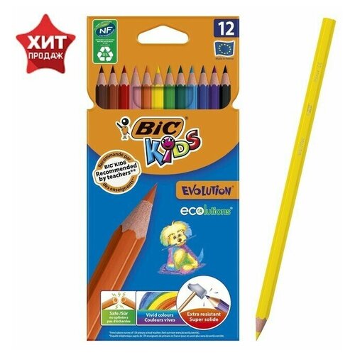 Карандаши BIC Kids Evolution, 12 цветов