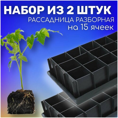 Набор из 2 штук: Рассадницы разборные, ящики черные для растений с поддоном на 15 ячеек, 355х185х95мм