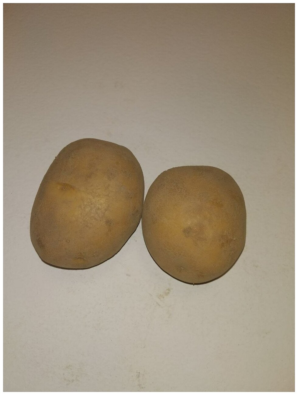 Картофель семенной бельмондо клубни 5 кг - фотография № 5