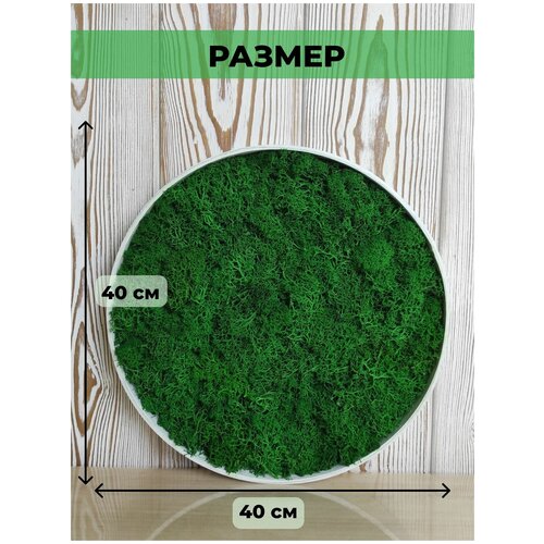 Круглое панно картина из стабилизированного мха d50 беленый дуб / лофт декор для дома