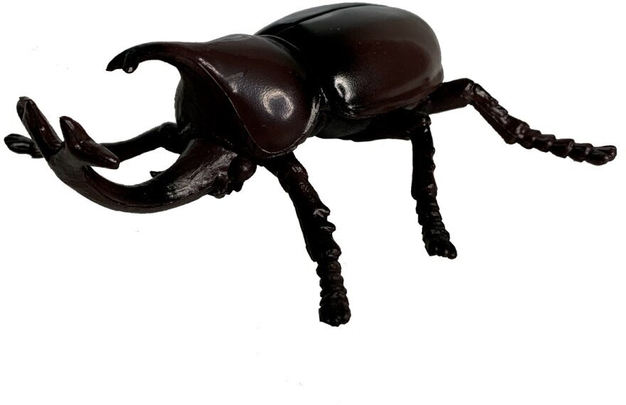 Жук носорог трафарет — купить по низкой цене на Яндекс Маркете