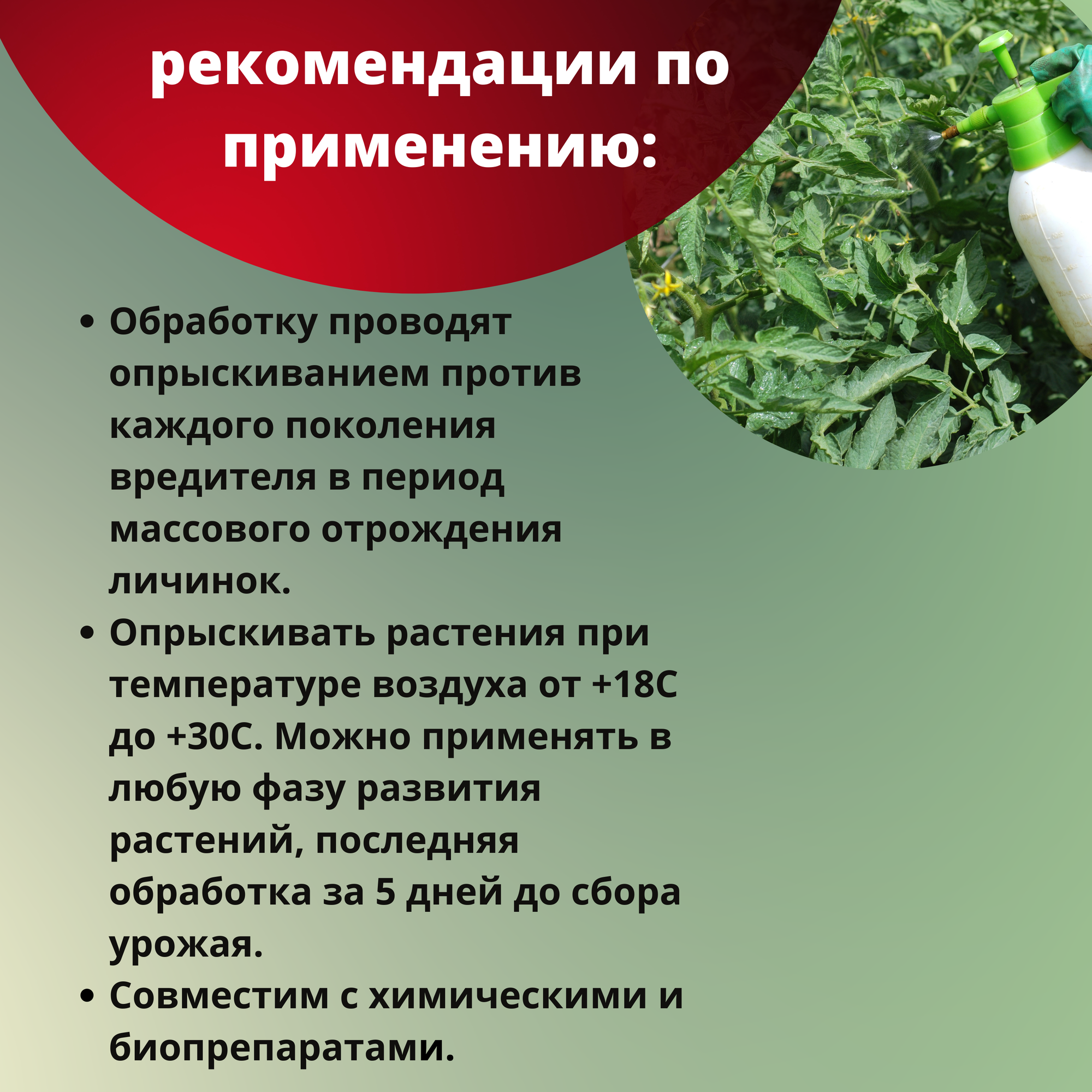 Зеленая Аптека Садовода Биопрепарат против колорадского жука, паутинного клеща Битоксибациллин, 20 г, 12уп. - фотография № 5