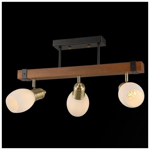 Спот Illumico IL9724-3CSQ-79 BK AB WD 6820₽