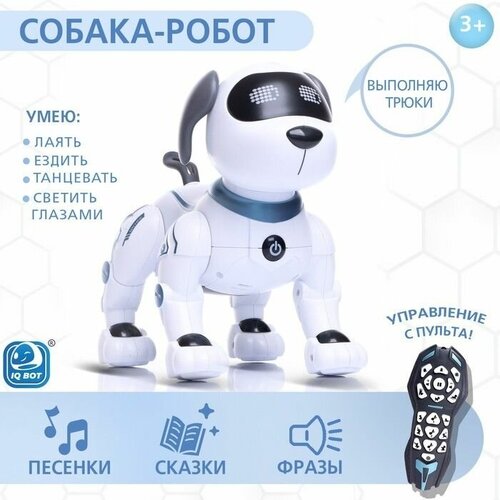 Интерактивная игрушка Дружок-трюкач, звуковые эффекты, управление с пульта робот veld co робот собака дружок белый голубой