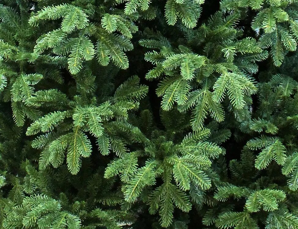 Искусственная ель MERIDIAN (