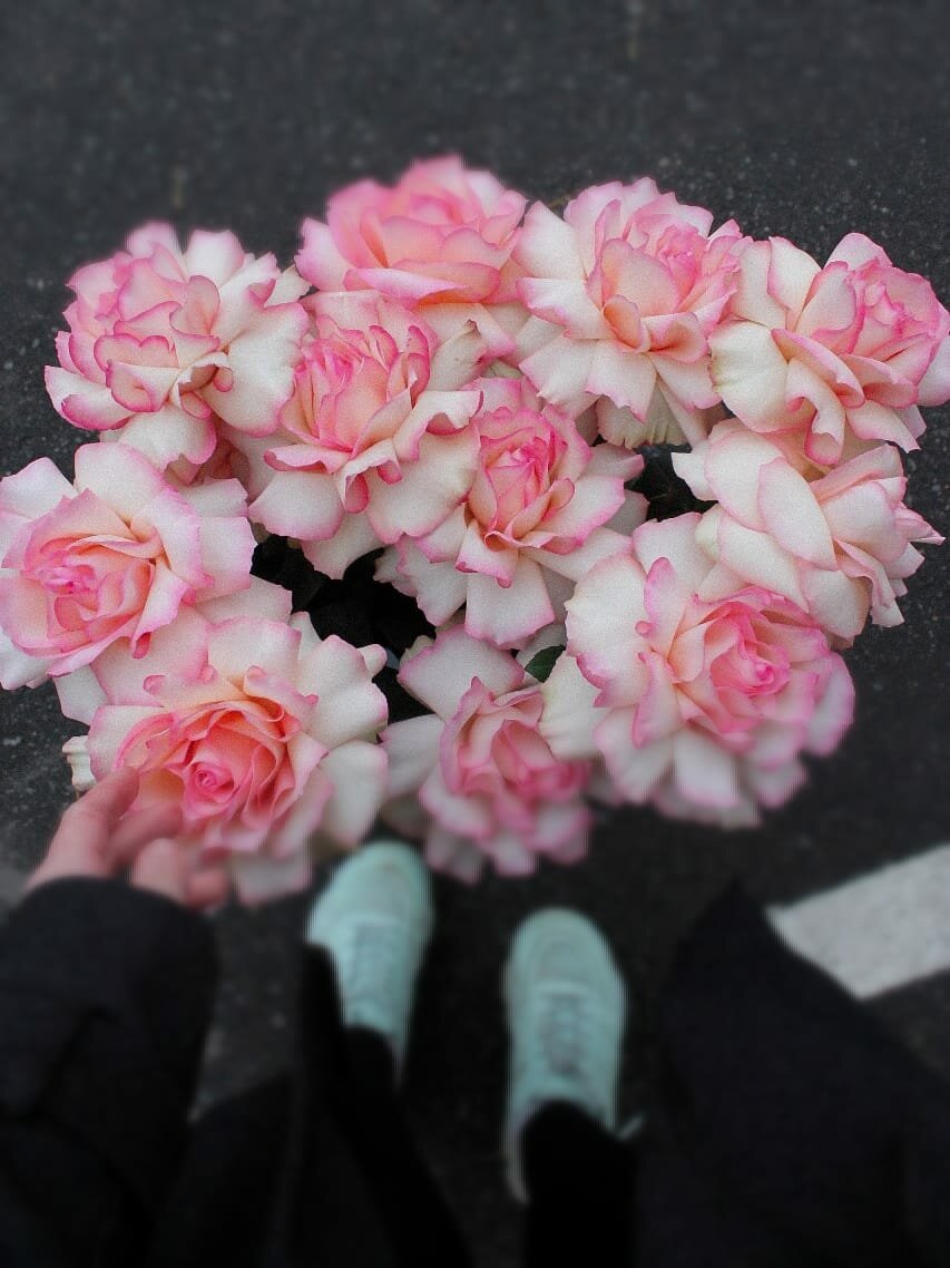 Французские Роза сорта Эсперанса поштучно - Элит Цветы - свежие букеты с доставкой