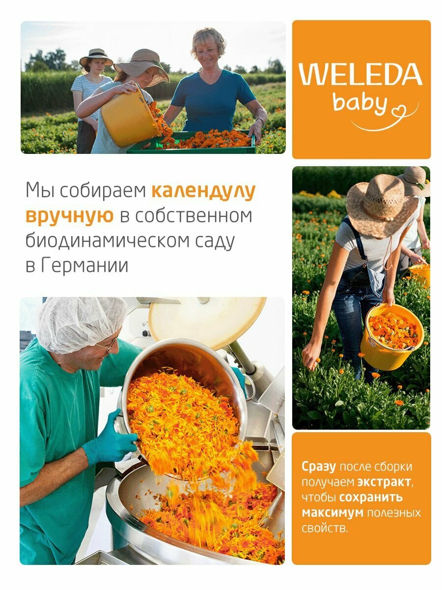 Weleda Детский крем для лица с календулой, с рождения, 50 мл — фото 1