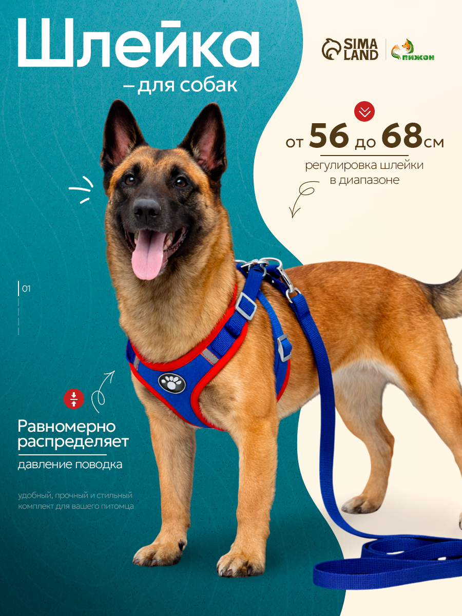 Комплект Sport+, L, поводок 120 x 1,5 см, ОШ 49-56 см, ОГ 56-68 см, вес животного 20-28 кг, синий 9