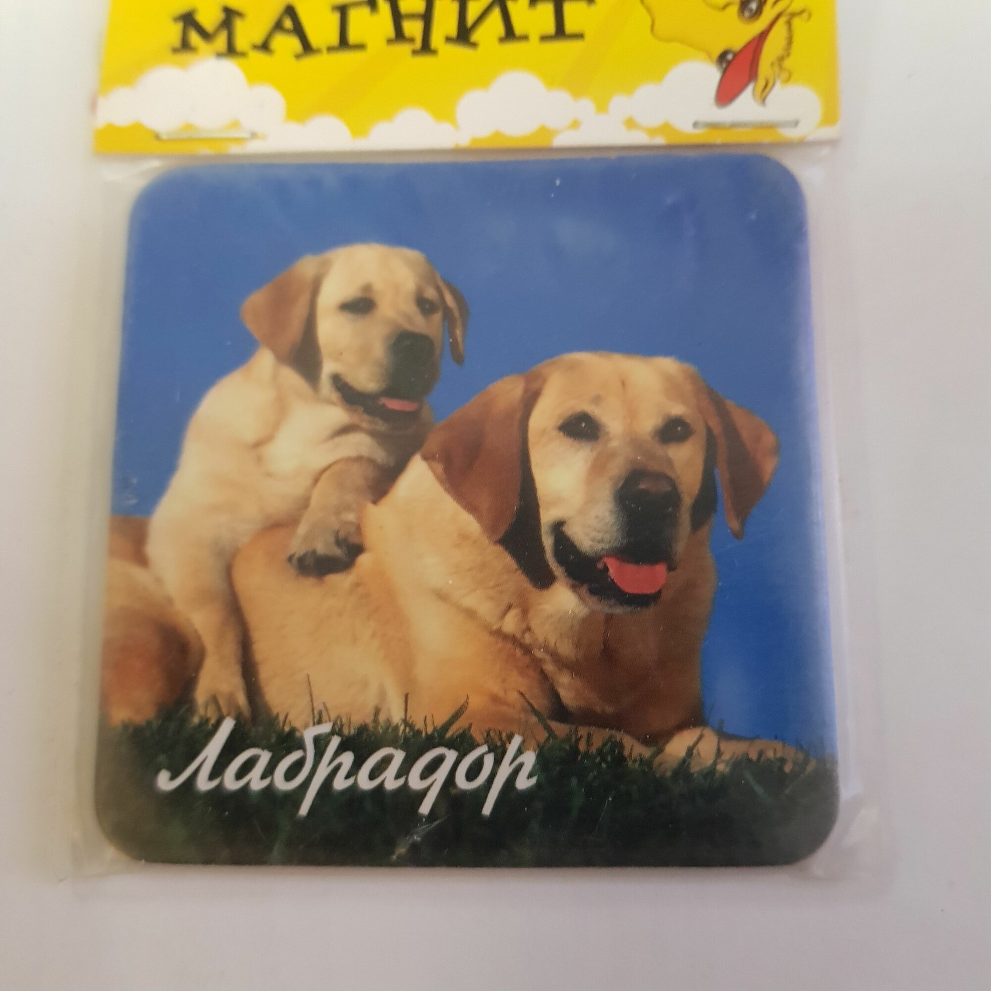 Изделие декоративное Магнит "Собака породы Лабрадор" 6х6х0,2см, 6042