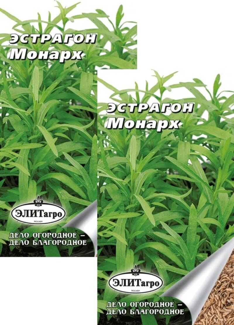 Семена Эстрагон Монарх (005 г) 2 пакета многолетник высота 150 см