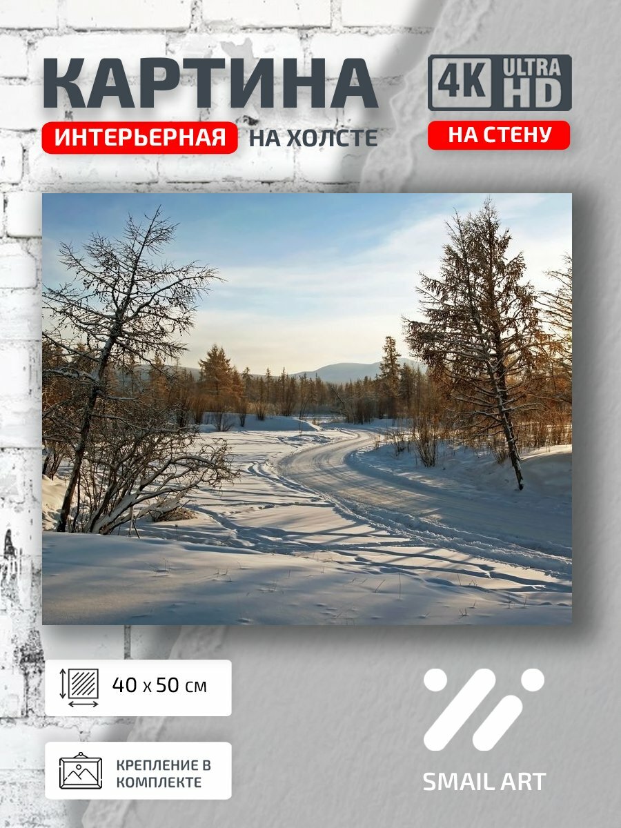 Картина на холсте интерьерная 40 на 50 на стену Лес Landscape для спальни пейзаж интерьер