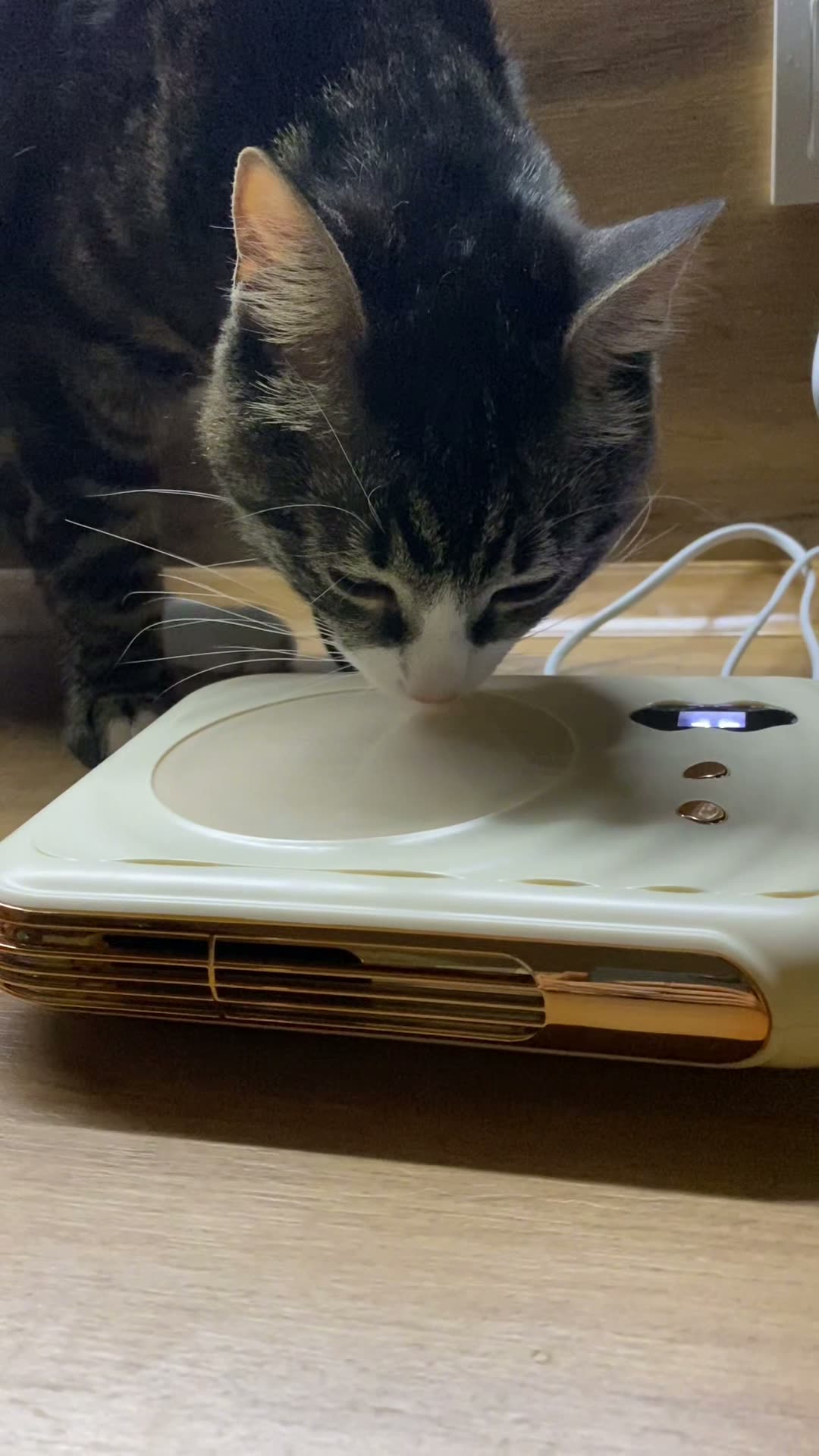 Подставка-подогреватель NANO SHOT "Кружка", пластиковый, серый — фото 1