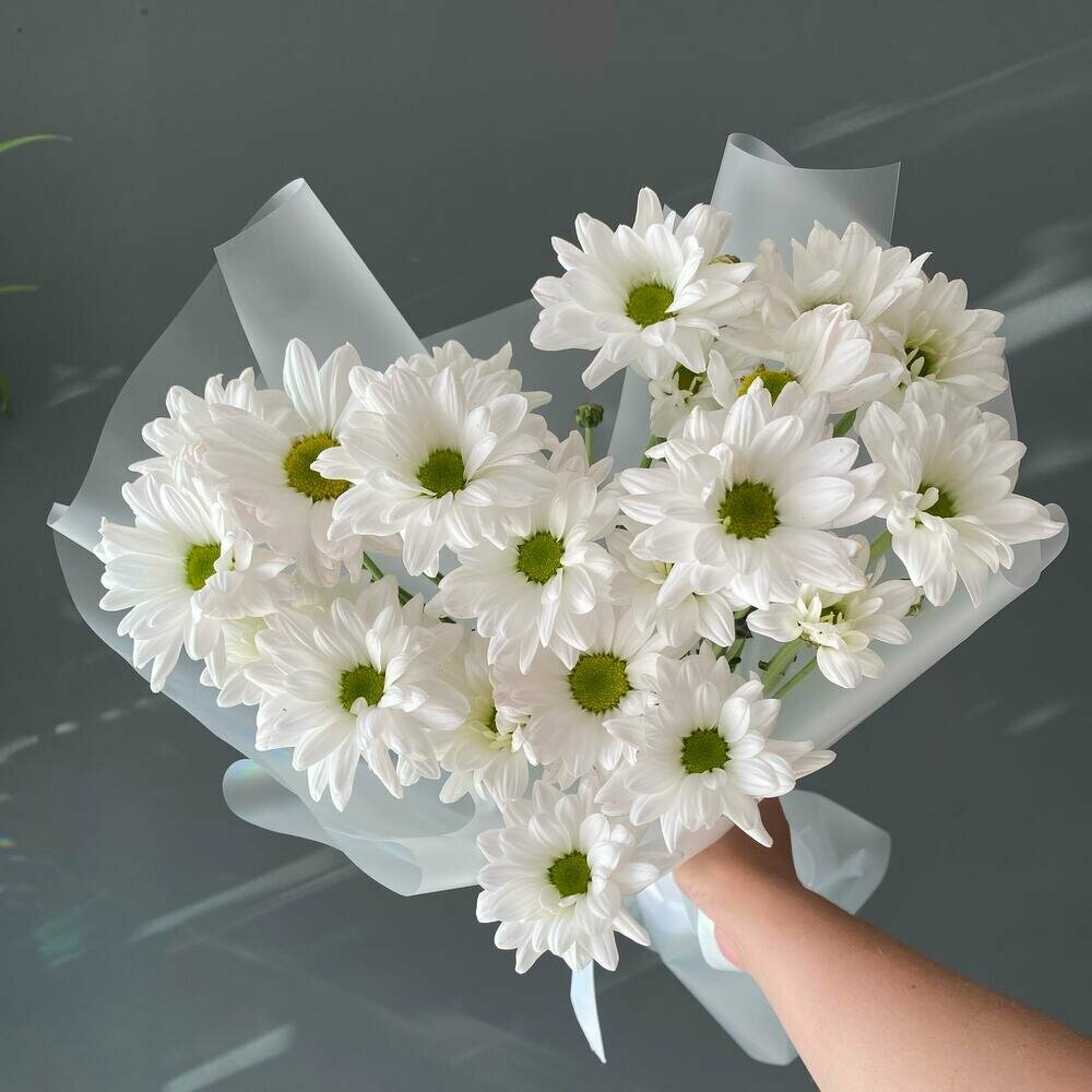 Букет цветов из хризантем ромашек в упаковке монобукет 3 веточки