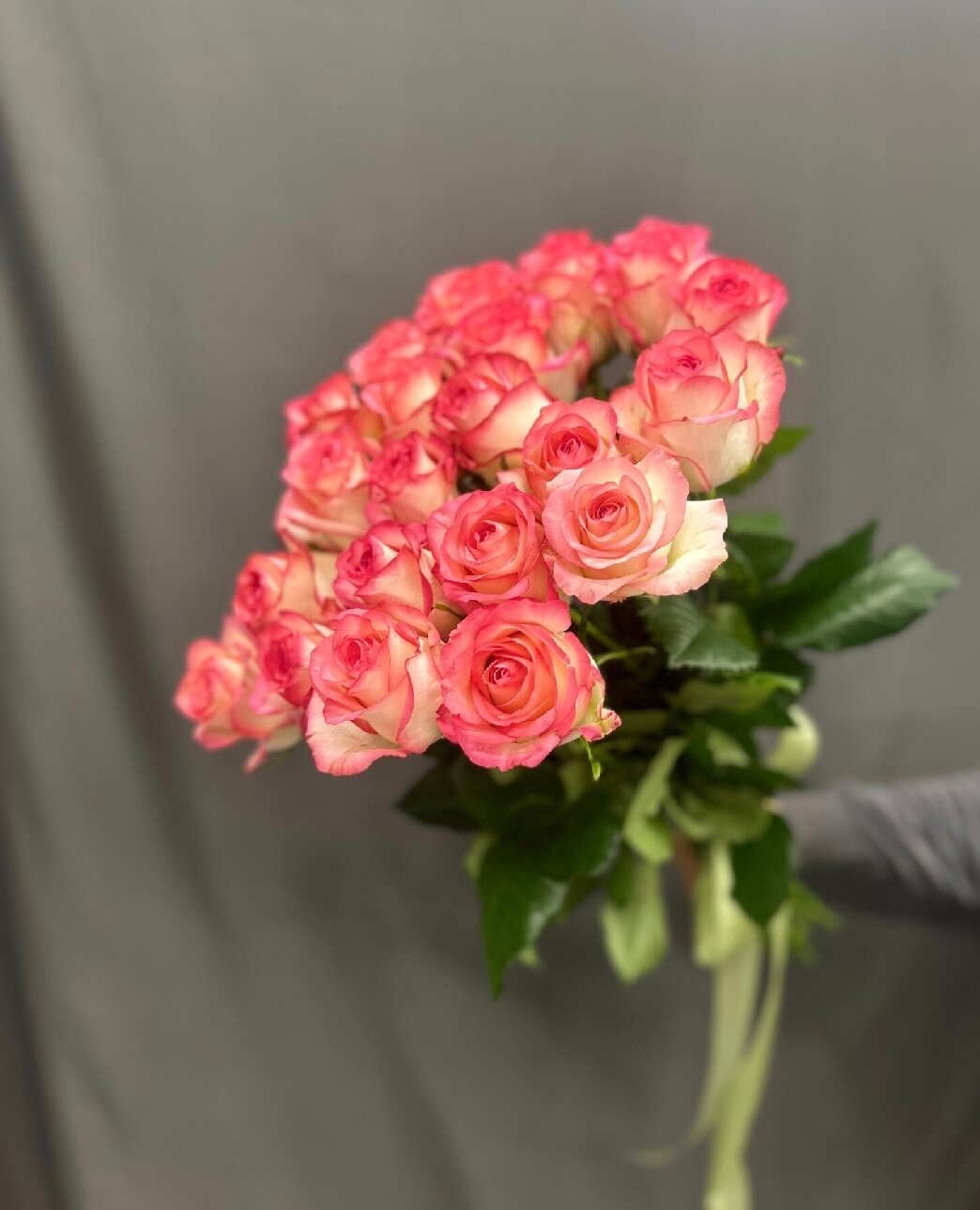 Живые цветы букет роз бело-розовых 15 шт 50 см Сорт Джумилия  под ленту