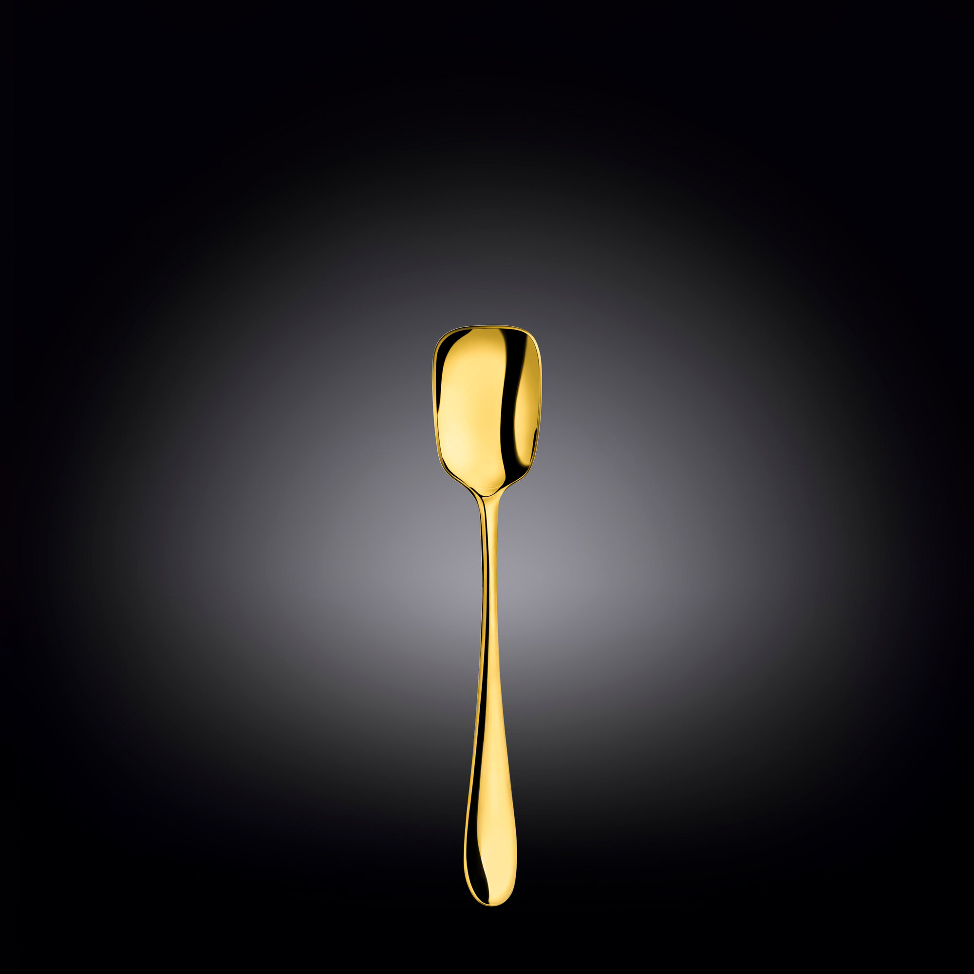 Набор из 2-х ложек для мороженого 15 см на блистере WL‑999168/2B