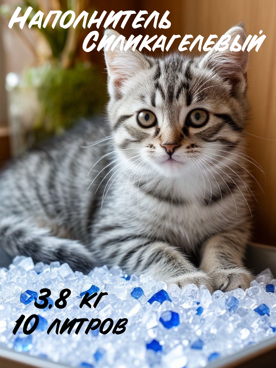 Силикагелевый наполнитель для кошачьего туалета 38 кг/10л впитываемость  без ароматизаторов с голубыми гранулами