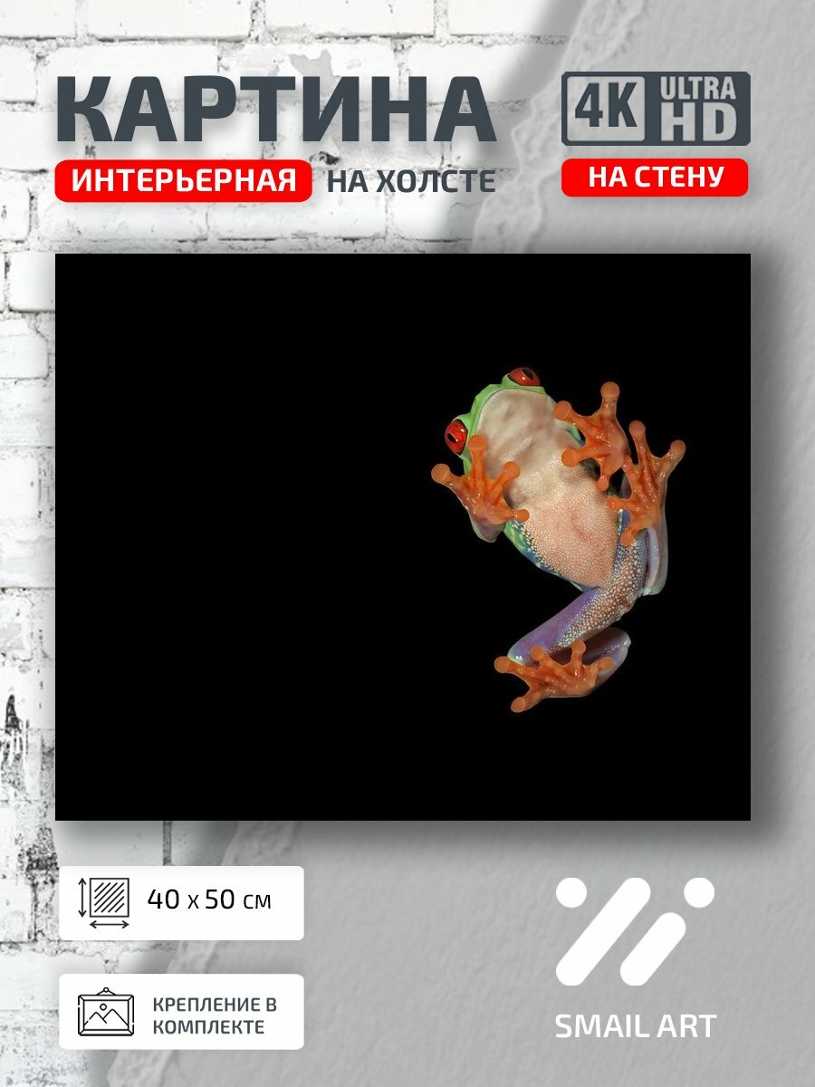Картина на холсте интерьерная 40 на 50 на стену Фон Macro для студии макро интерьер декор
