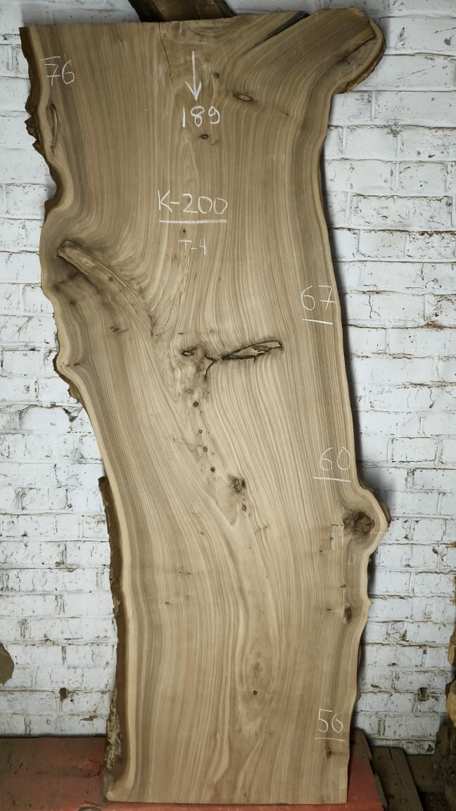 Красивый слэб дерева Карагач К200, высота 189 см, толщина 4 см.